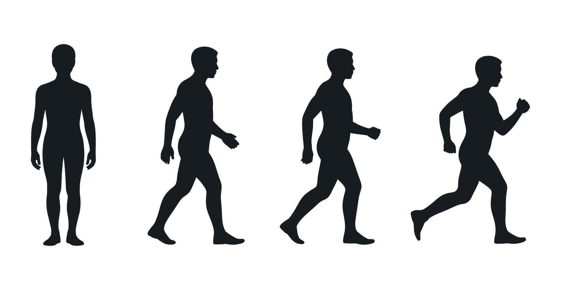 Progression of Human Movement Black Silhouettes Standing Walking Fast Walking and Running on White Background for Anatomy Exercise and Athleticism Concepts and Designs vector
