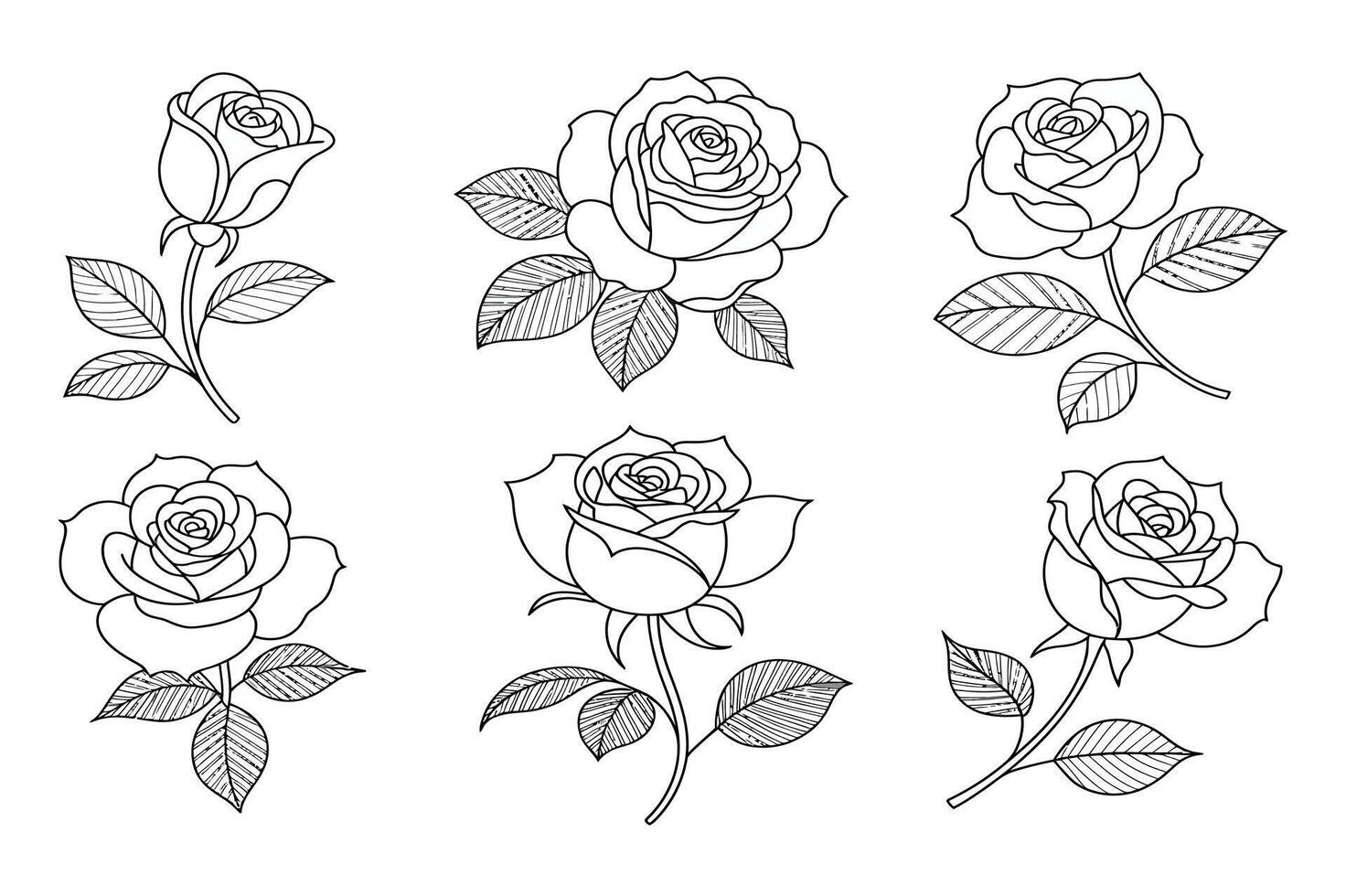 Set of Six Rose Flower Outlines with Leaves and Stems Perfect for Coloring Books Tattoo Designs or Botanical Illustrations on a White Background vector