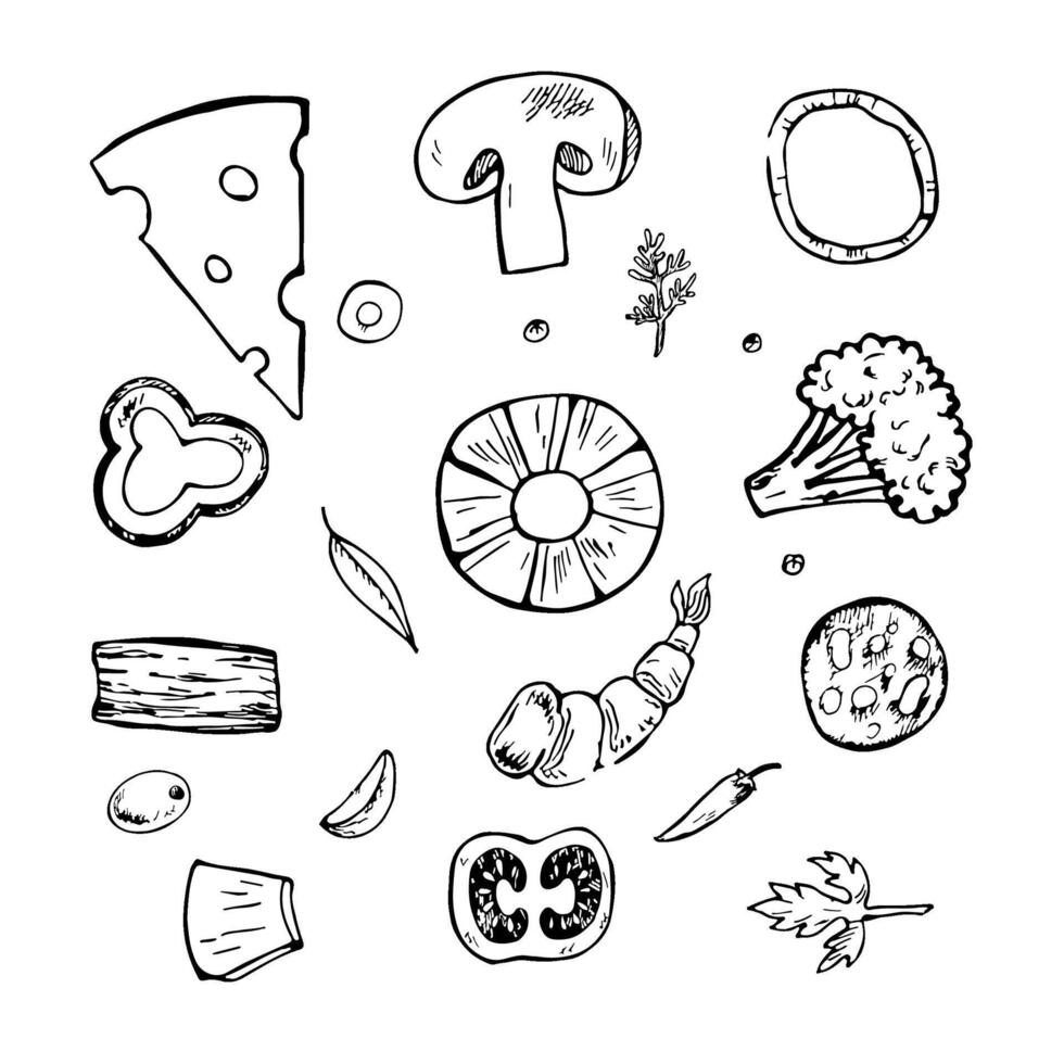 Ingredients for making pizza. Bacon, sausage, cheese, pineapple, shrimp, vegetables and herbs. graphics, black and white illustrations by hand. For recipes, menus, and pizzeria decorations. vector