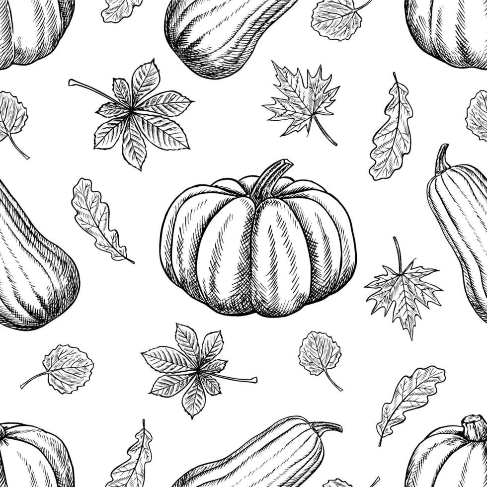 Seamless pattern of pumpkins and leaves of maple, oak, chestnut, aspen trees. graphics. Black and white hand-drawn illustration. On a white background. Great for textiles and packaging. vector