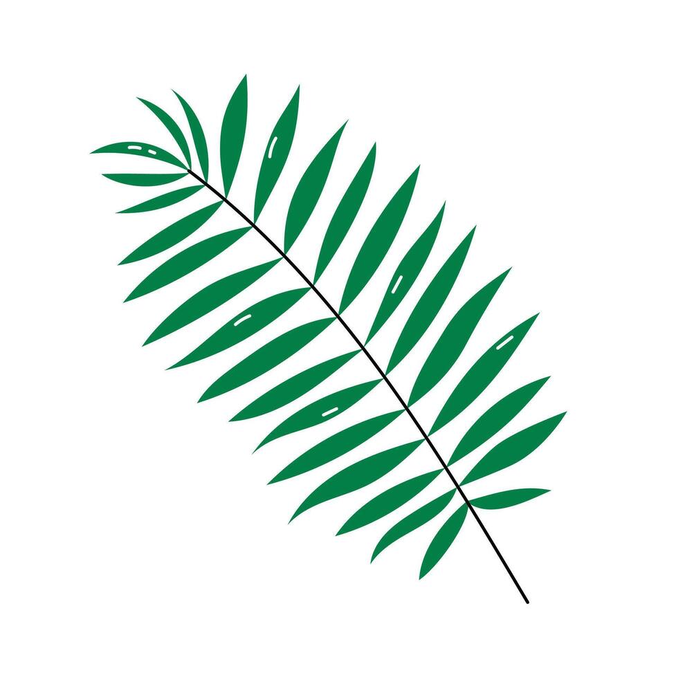 Palm tree leaf isolated element. Illustration of tropical leaves, cute plant decorative doodle object. vector