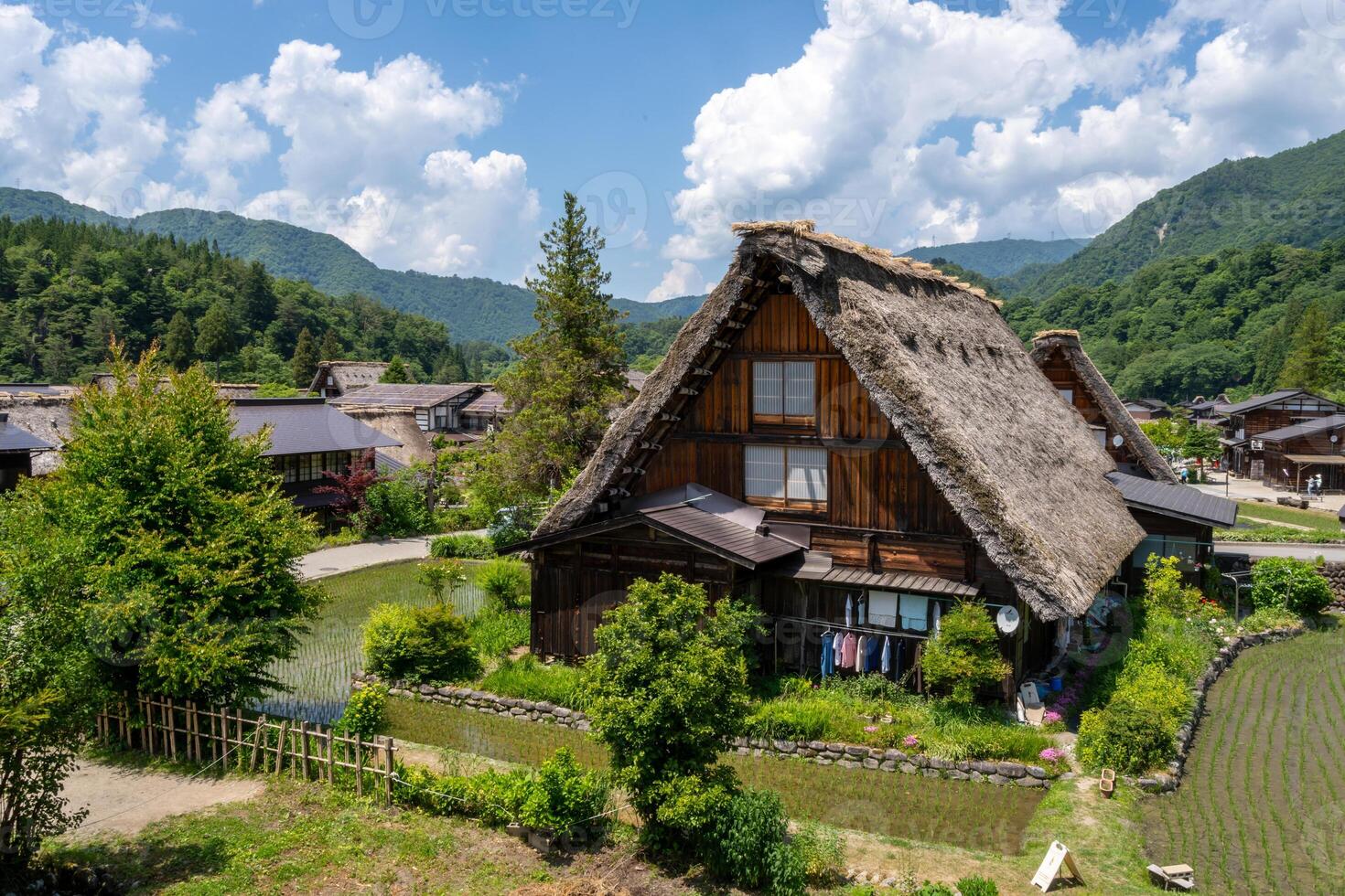 Traditional houses and rice fields in Shirakawa-go, rural Japan photo
