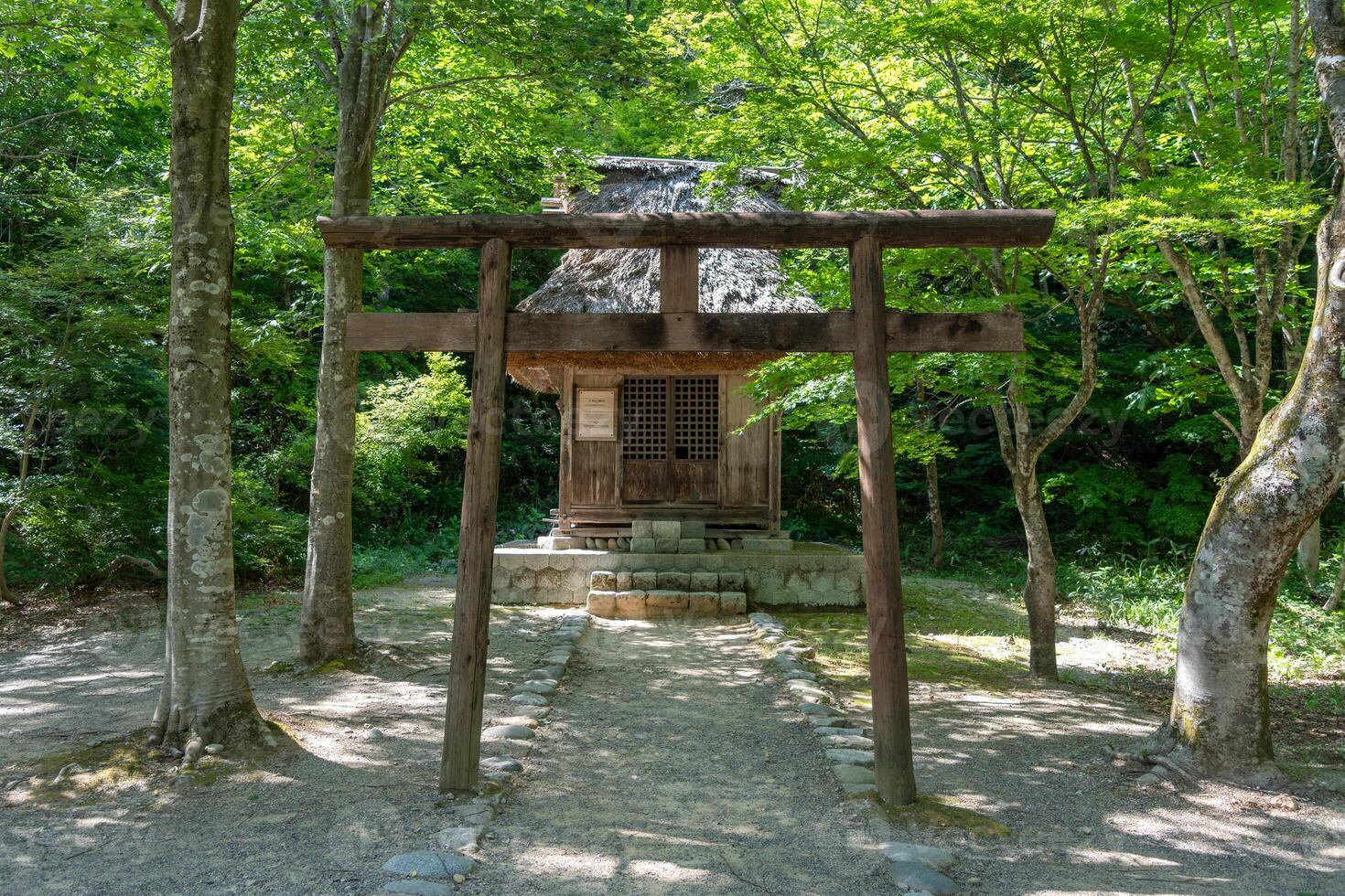 Small wooden shrine and torii gate in Shirakawa-go, Japan photo