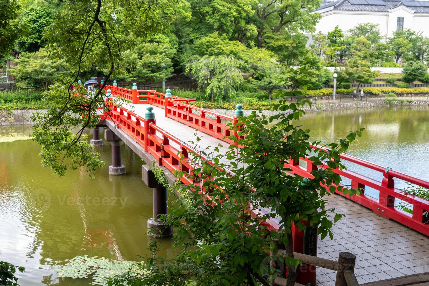 Red bridge over Kawazokoike pond in Tennoji Park, Osaka photo