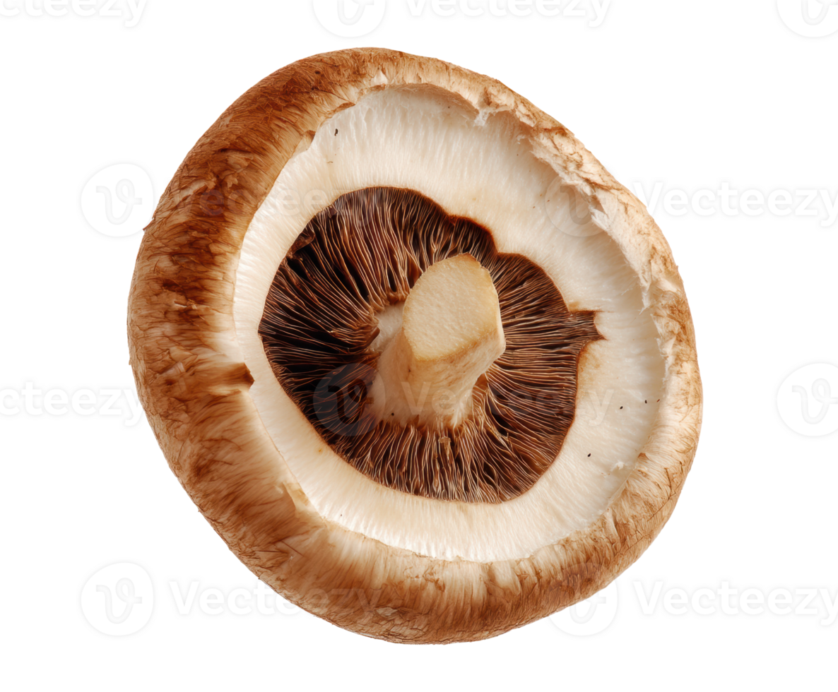 Freshly sliced mushroom for culinary dishes and recipes png