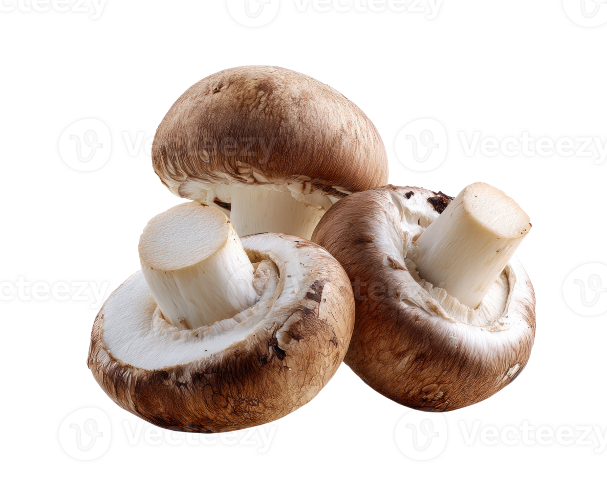 Brown mushrooms for culinary delights and natural recipes png