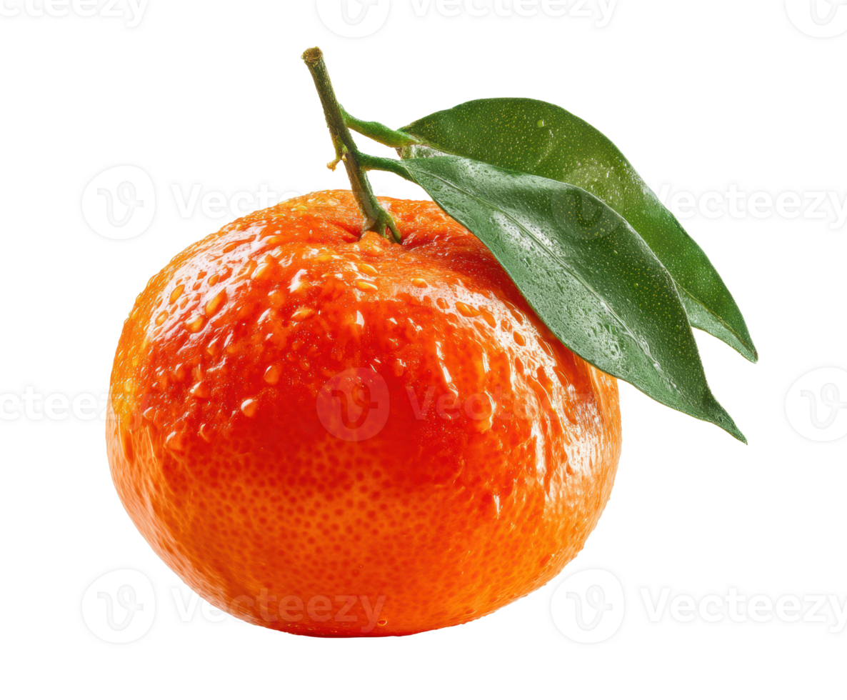 Fresh mandarin orange with green leaf for healthy eating and recipes png