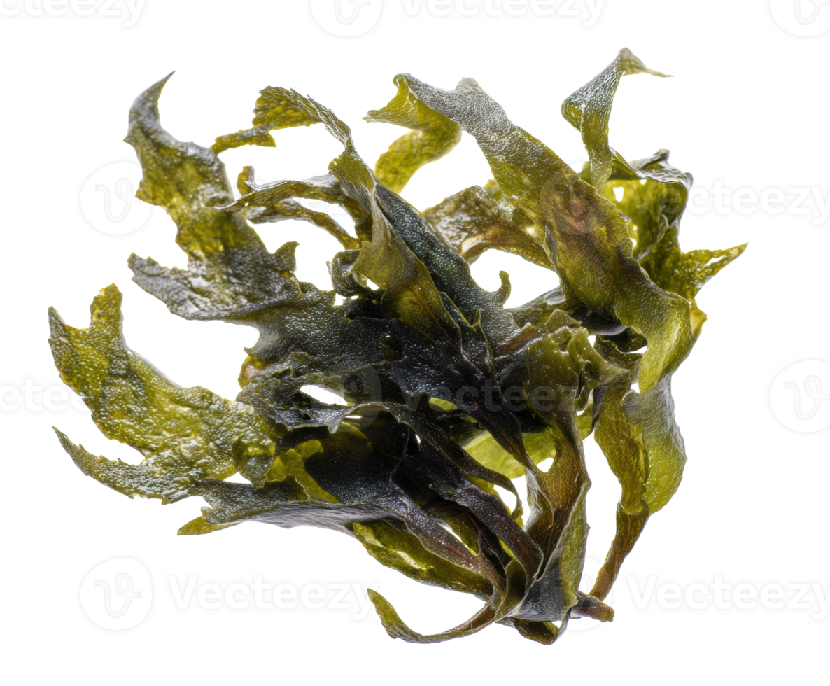 Seaweed ingredients for healthy cooking and nutrition png