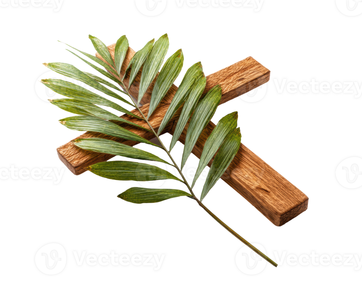 Symbolic palm leaves on wooden cross for religious observance png