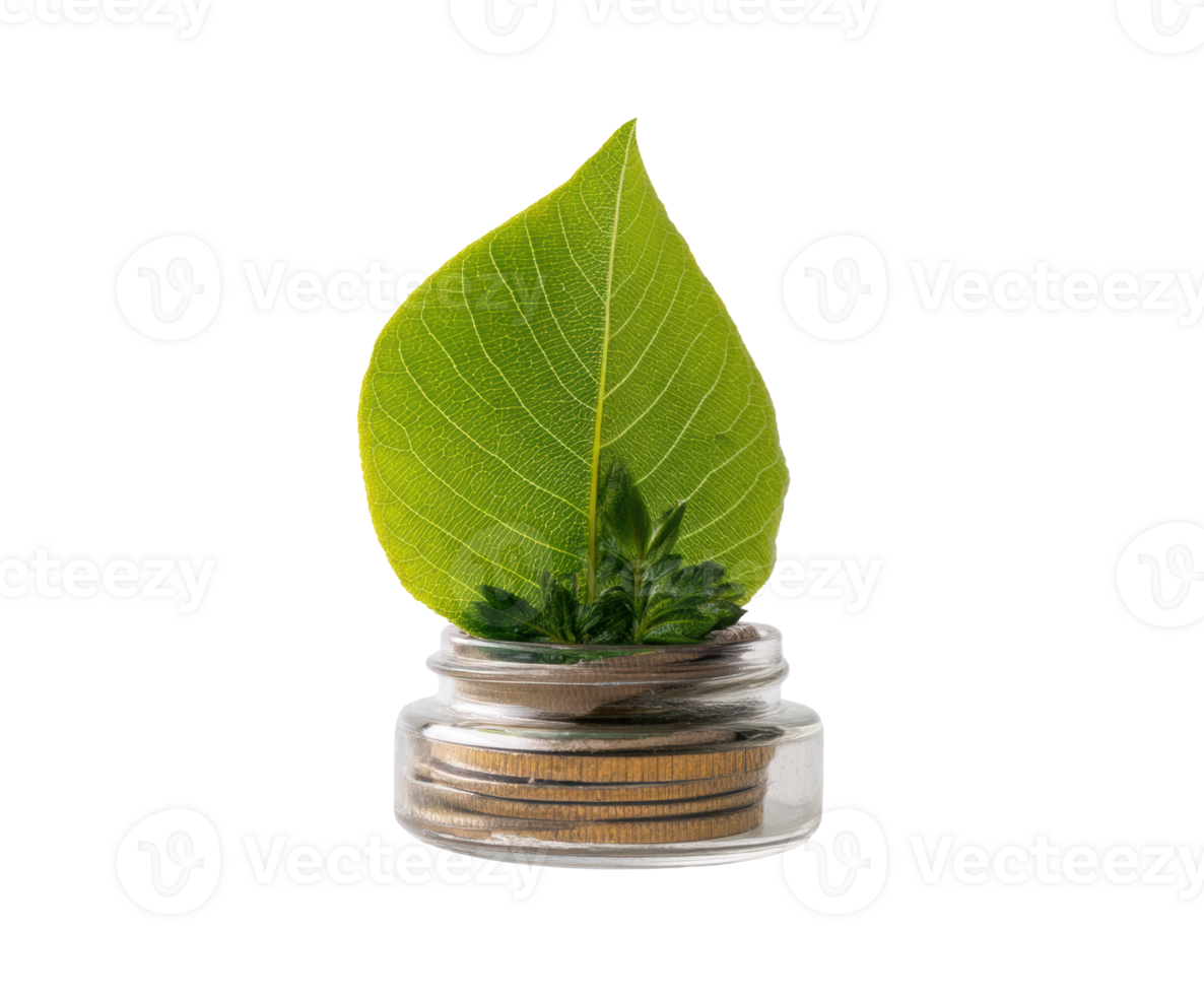 Green leaf in a jar of coins for eco-friendly investing png