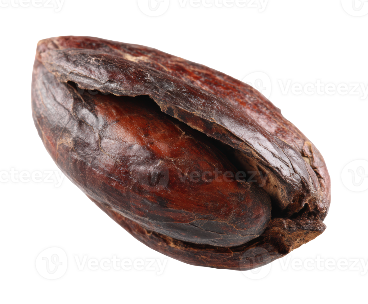 Cacao pod seed close up for culinary use and chocolate making png