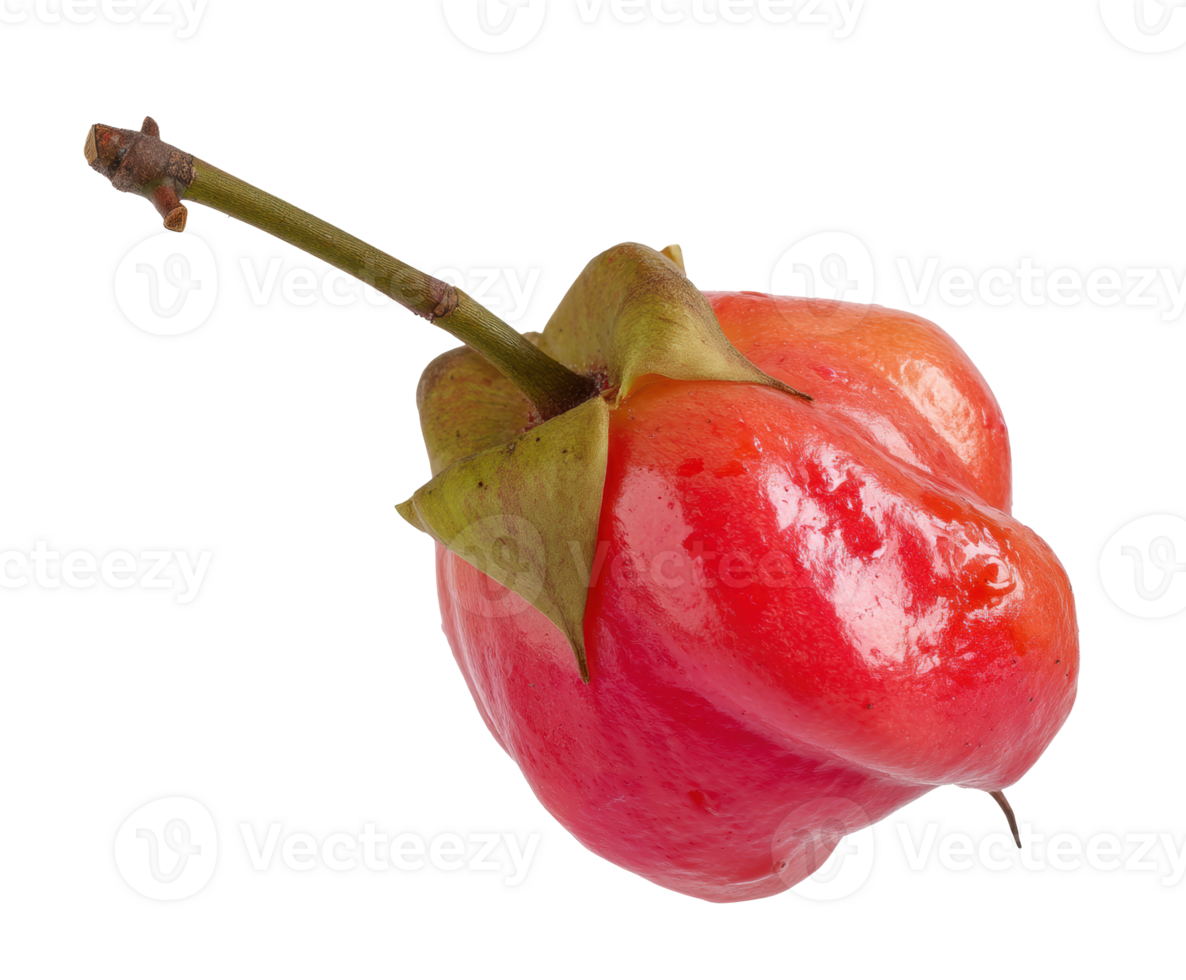 Unique tropical fruit with glossy red skin and green leaf png
