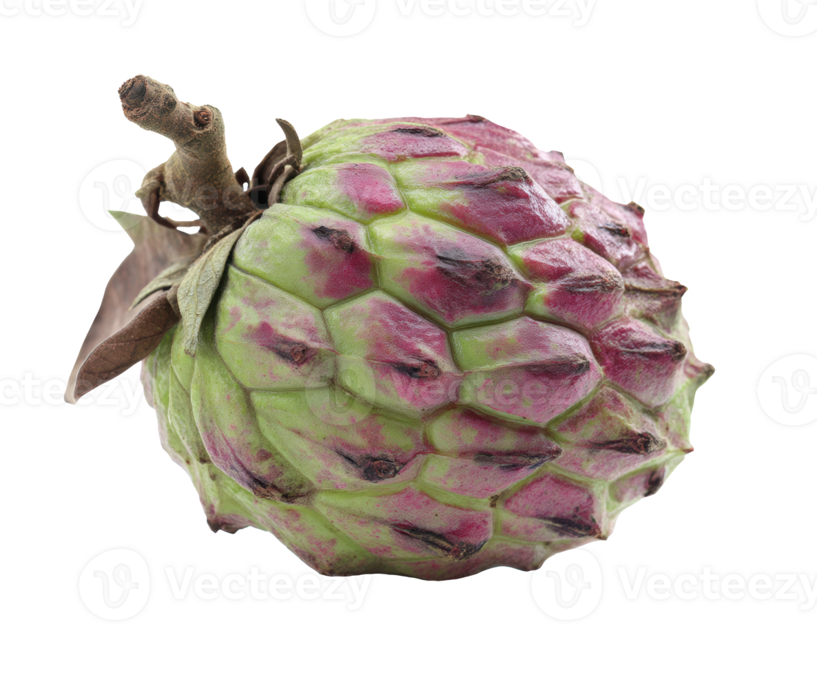Cherimoya fruit with unique texture and vibrant color png