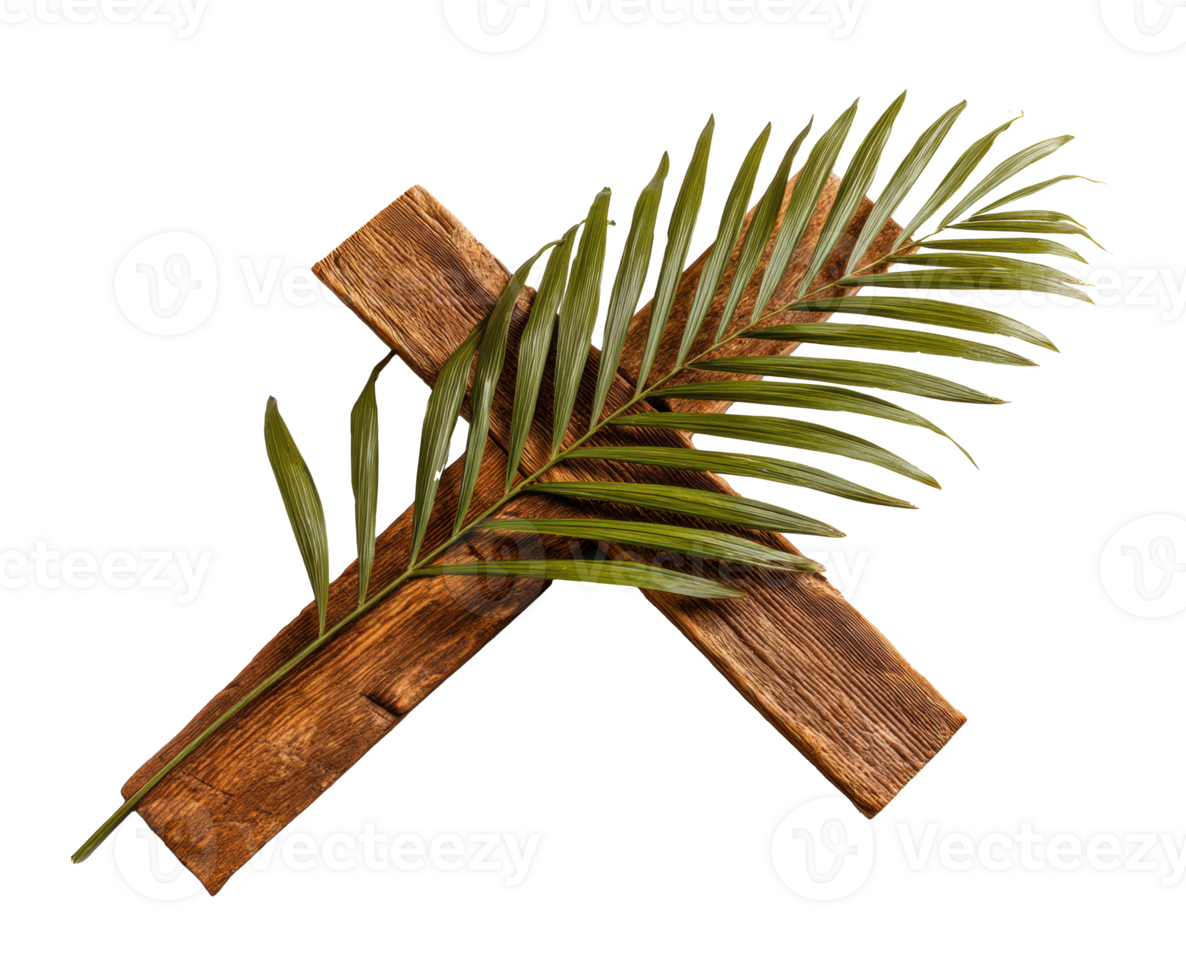 Tropical palm leaf arrangement on rustic wooden background for decor png