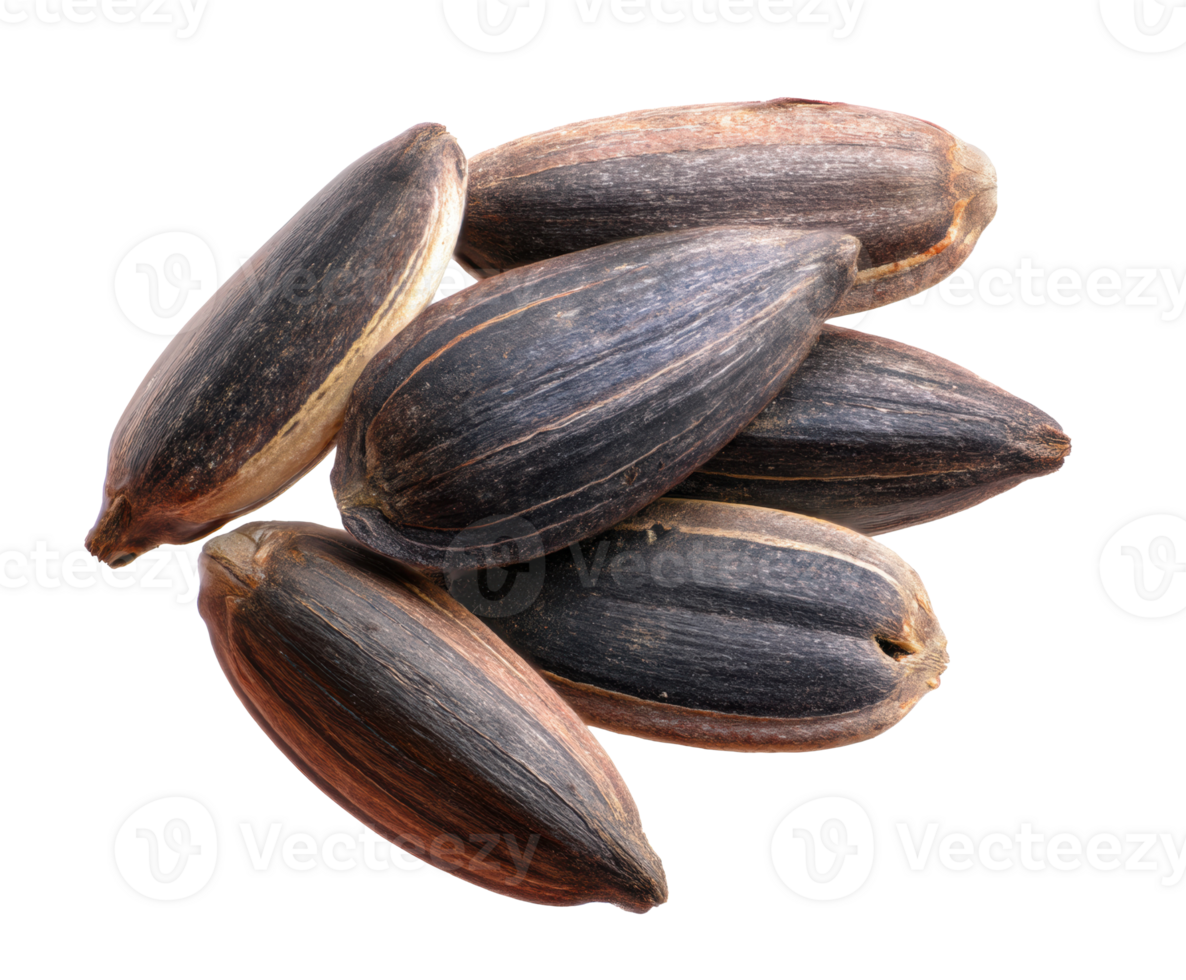 Black seeds of a plant suitable for gardening and culinary use png