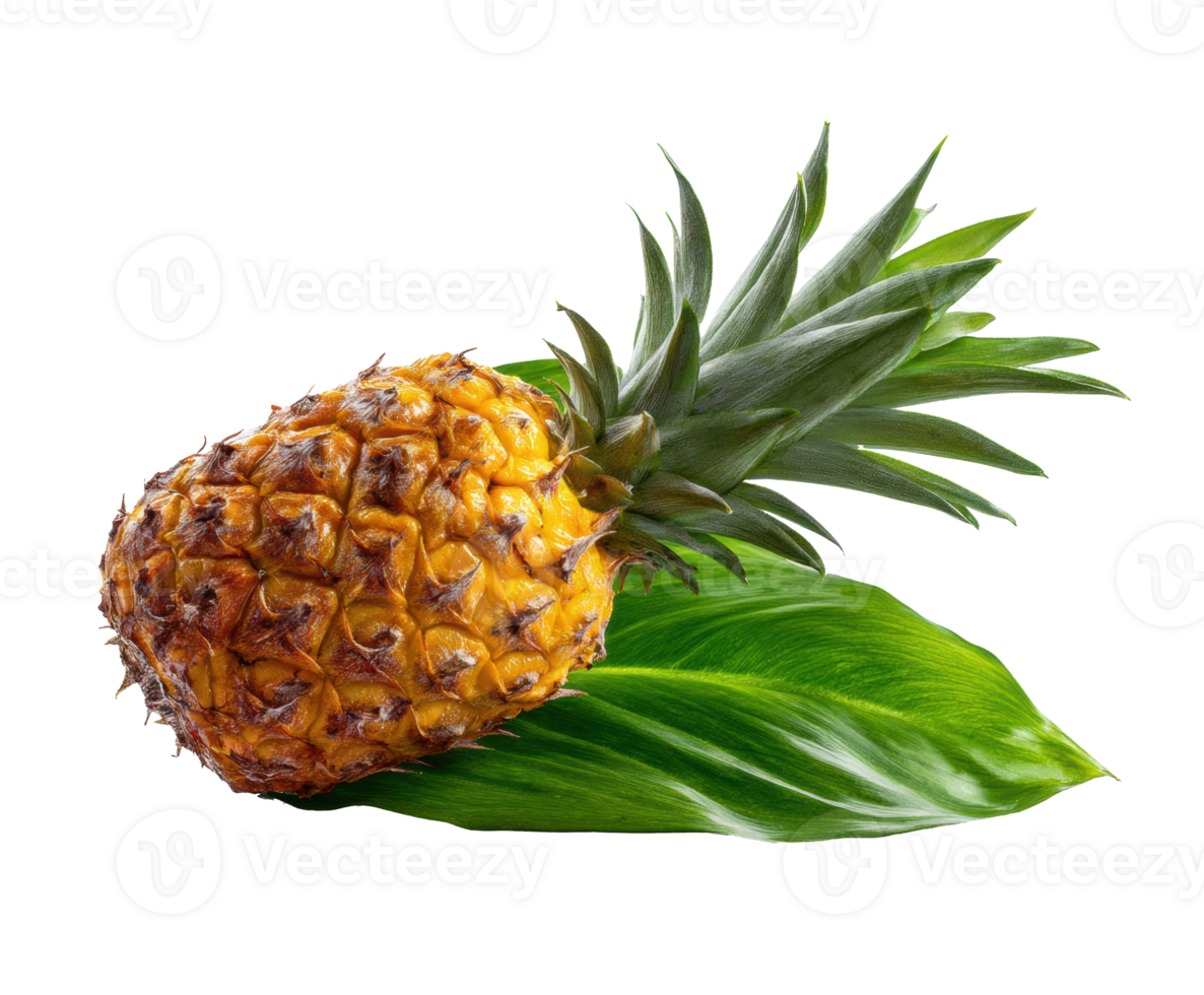 Tropical pineapple on greens for healthy meals png