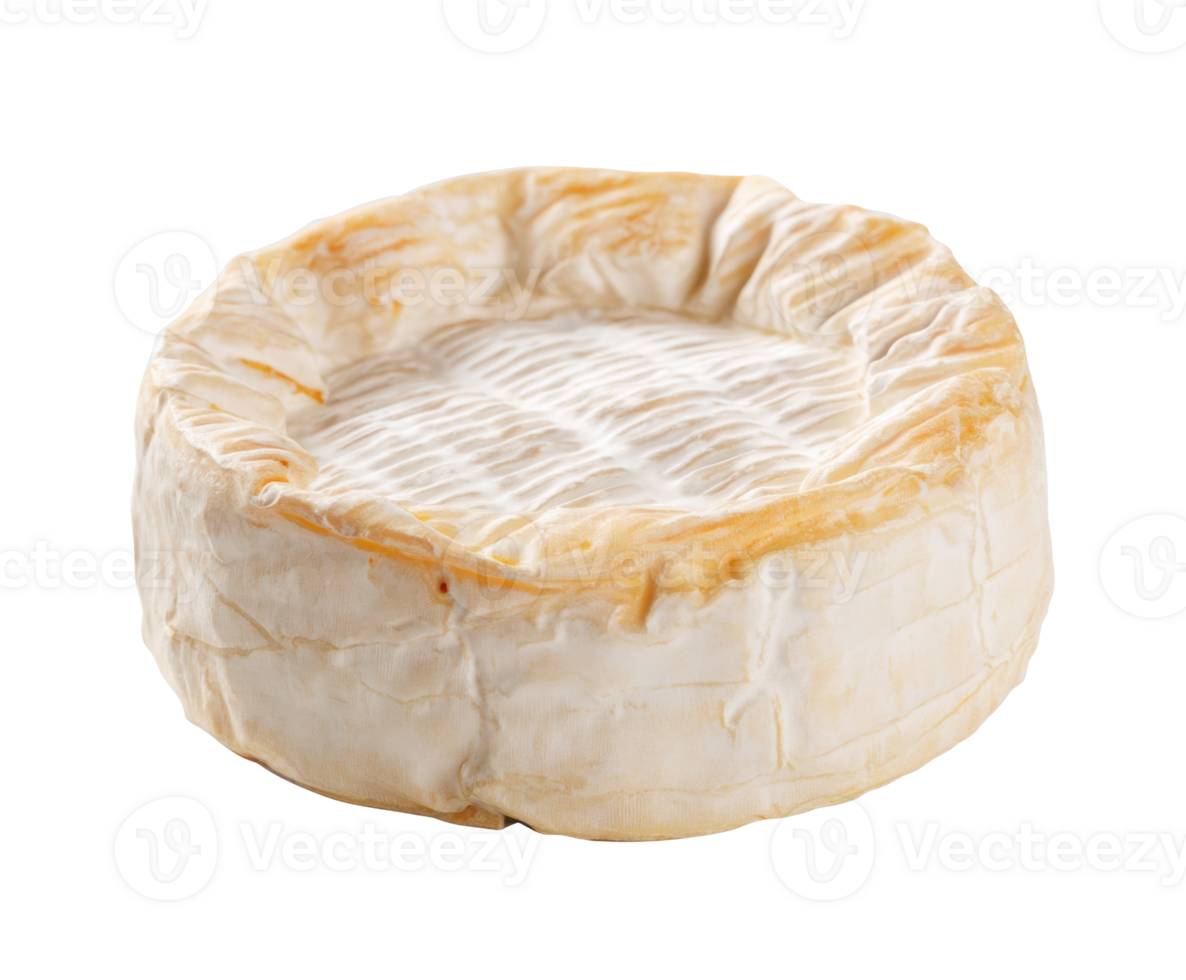 Creamy soft cheese round for culinary delights and gourmet dishes png