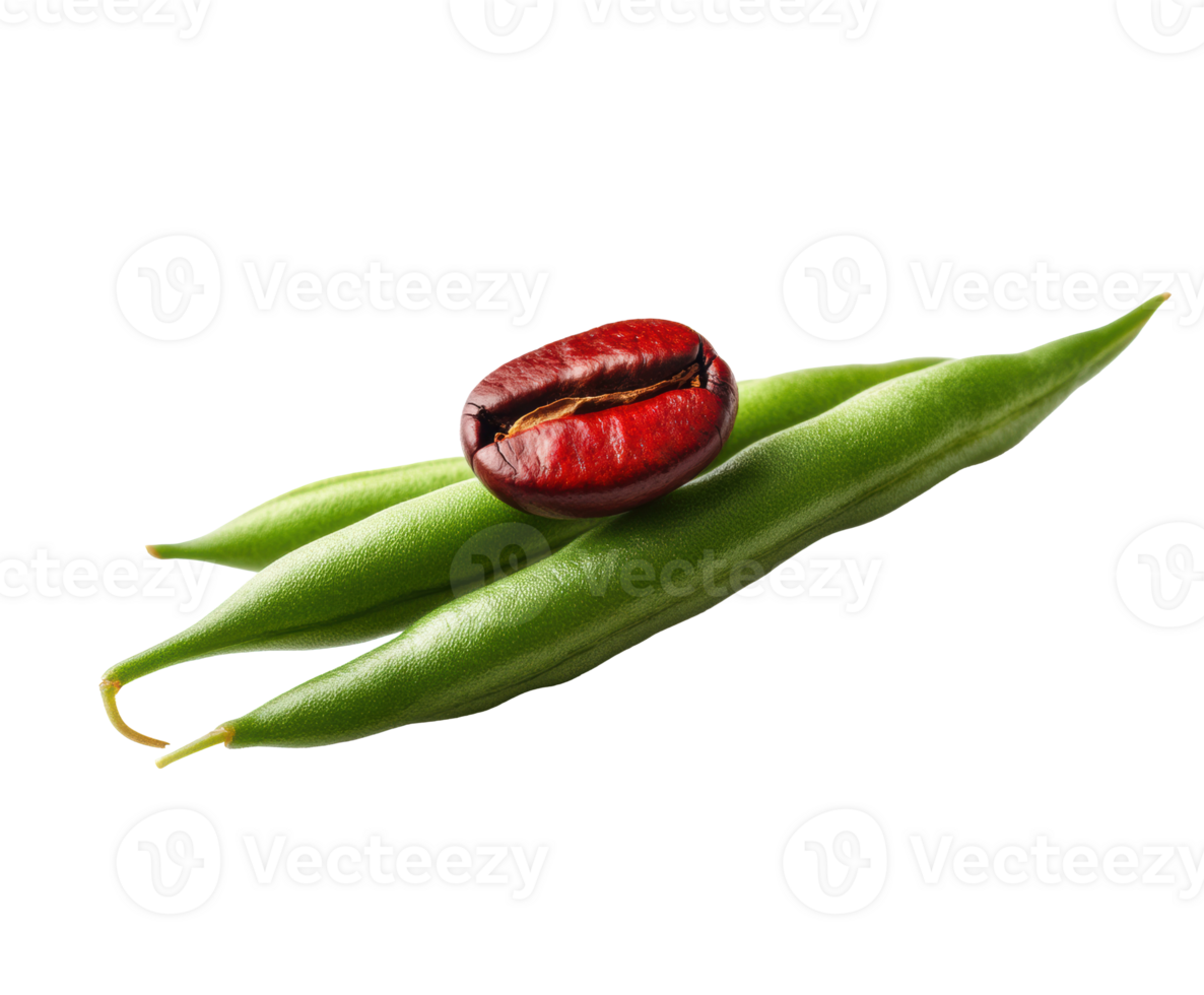 Green bean and coffee bean on a clean surface for food design png