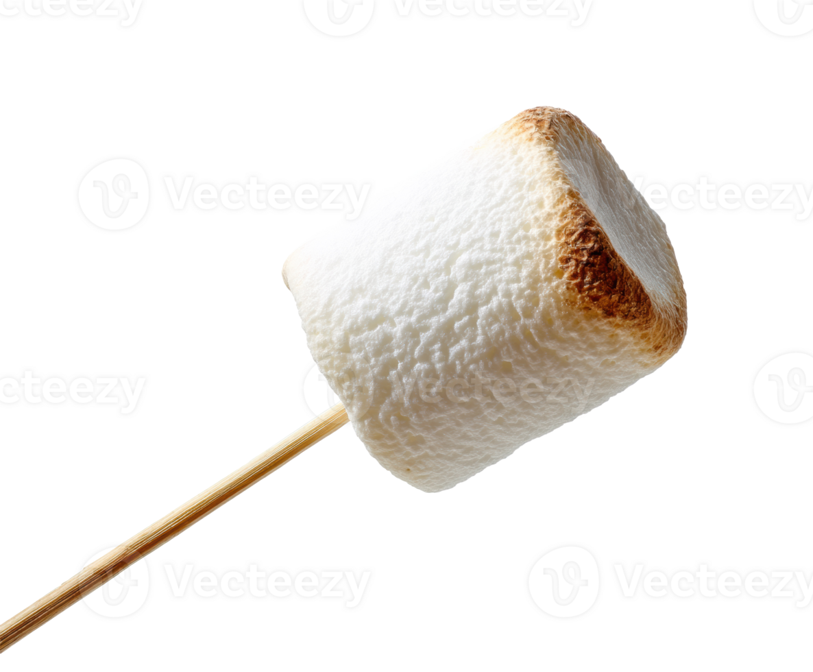 Toasted marshmallow on stick ready for campfire fun png