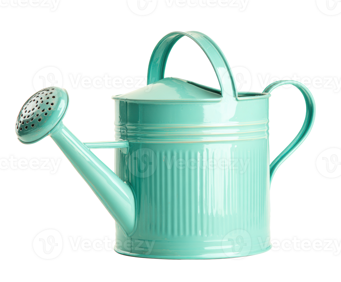 Charming turquoise watering can for gardening enthusiasts png