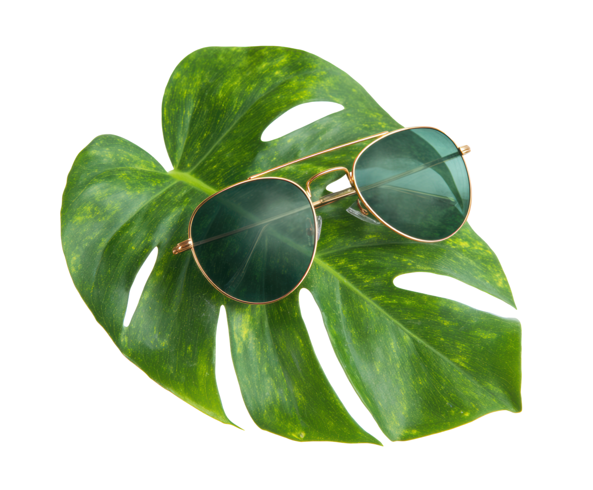 Stylish sunglasses resting on a tropical leaf for summer vibes png