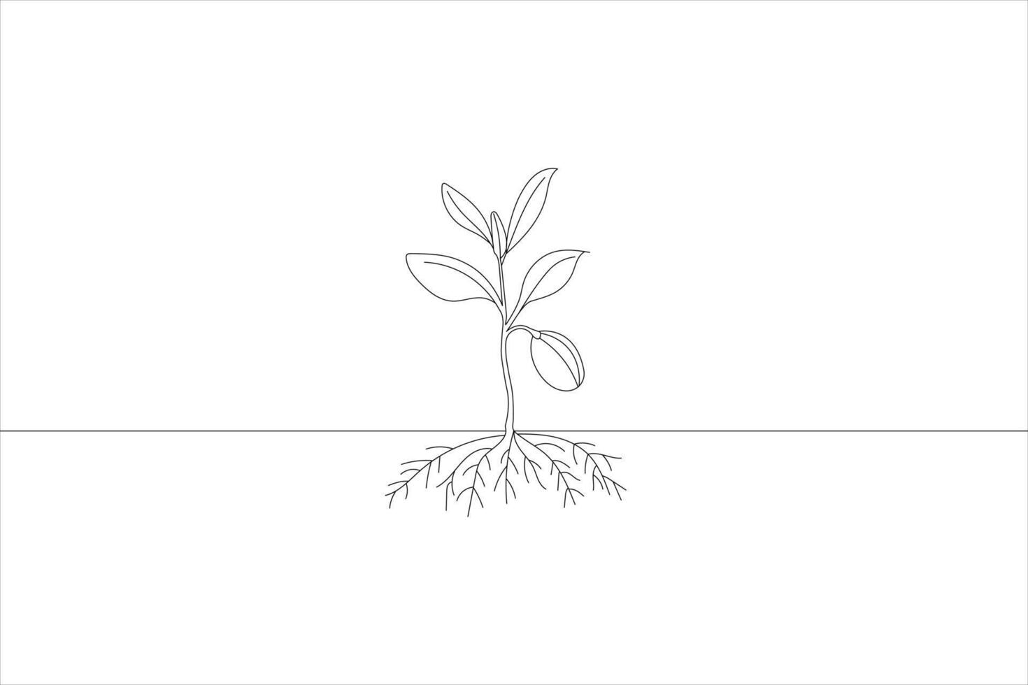 Simple line drawing of a growing plant showing roots, stem, leaves, and growth vector
