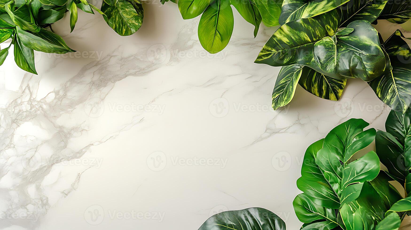 green plants and marble on a white background photo