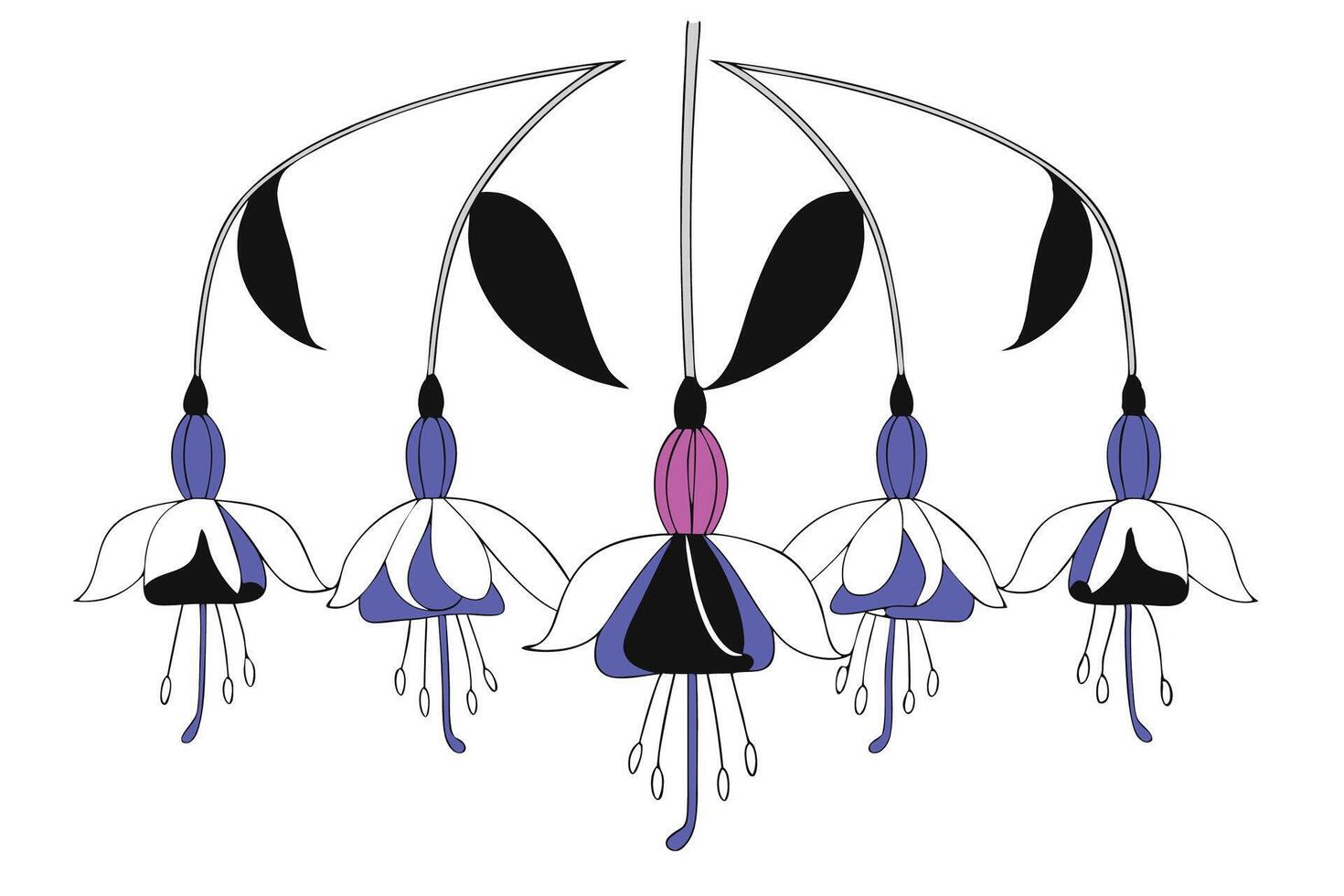 Delicate hanging fuchsia flowers with detailed green leaves perfect for creating botanical illustrations nature themes or elegant floral decoration visuals vector