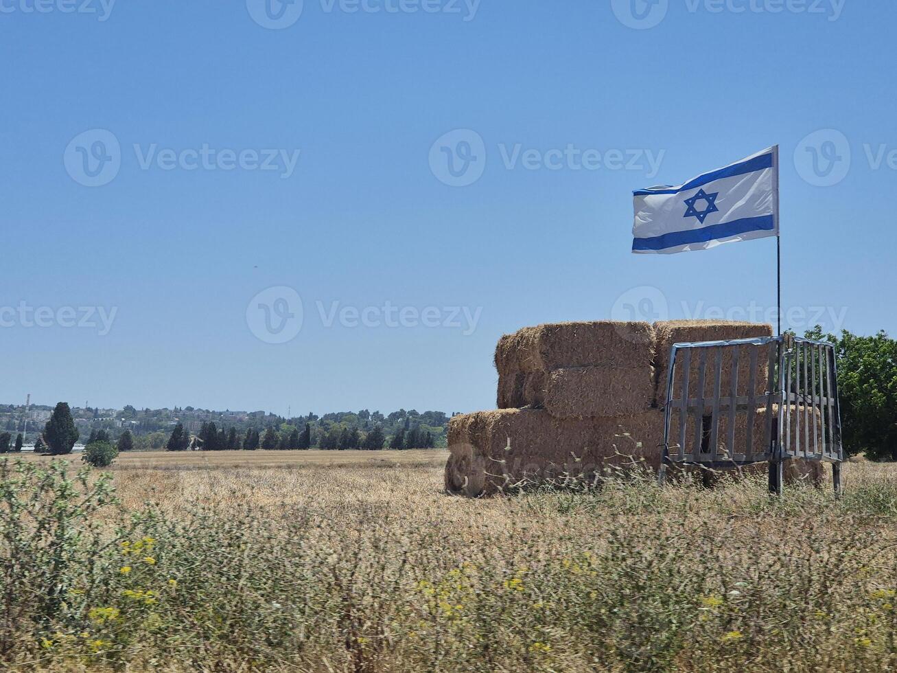 A field with hay bales stacked beside an Israeli flag, under a clear summer sky and surrounded by natural rural landscape photo