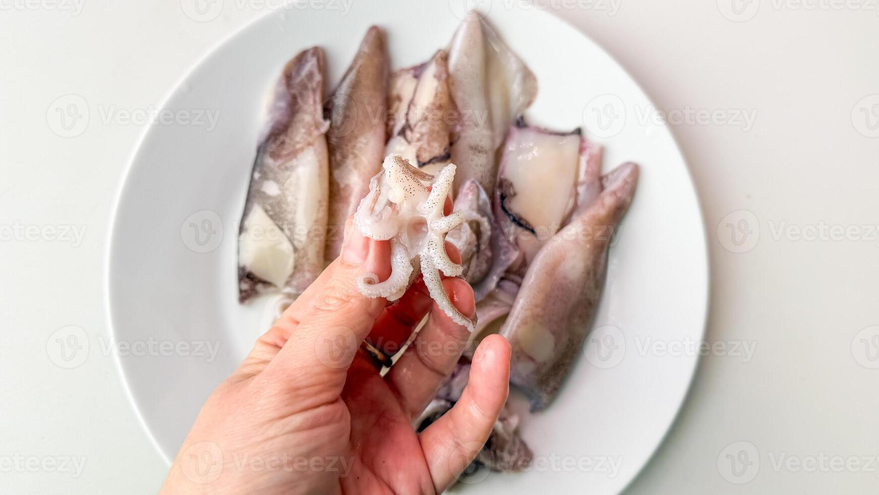Hand cradling fresh octopus, ocean bounty for Lunar New Year feasts, invoking maritime curiosity, and kitchen alchemy photo