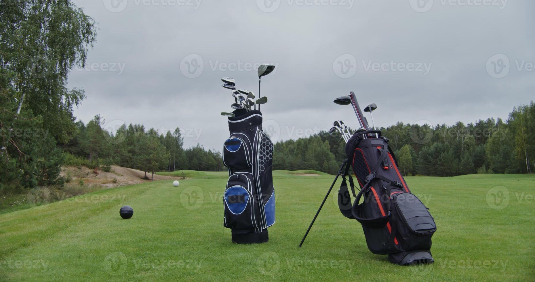 Golf bags filled with golf clubs stand on a beautifully manicured green golf course, fenced off with large black and white balls photo