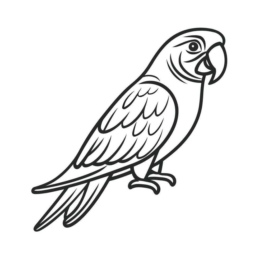 Simple Line Drawing Of A Parrot vector