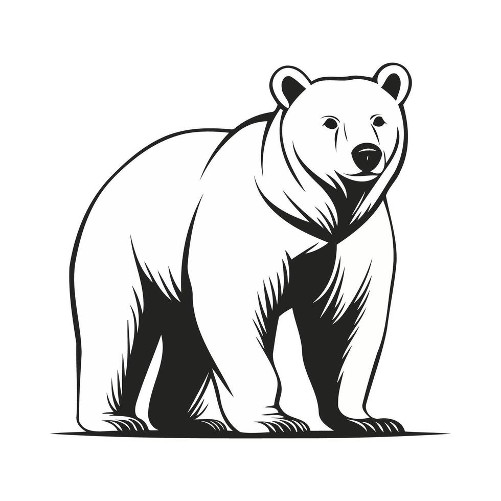 Stylized Polar Bear In Black Lines vector