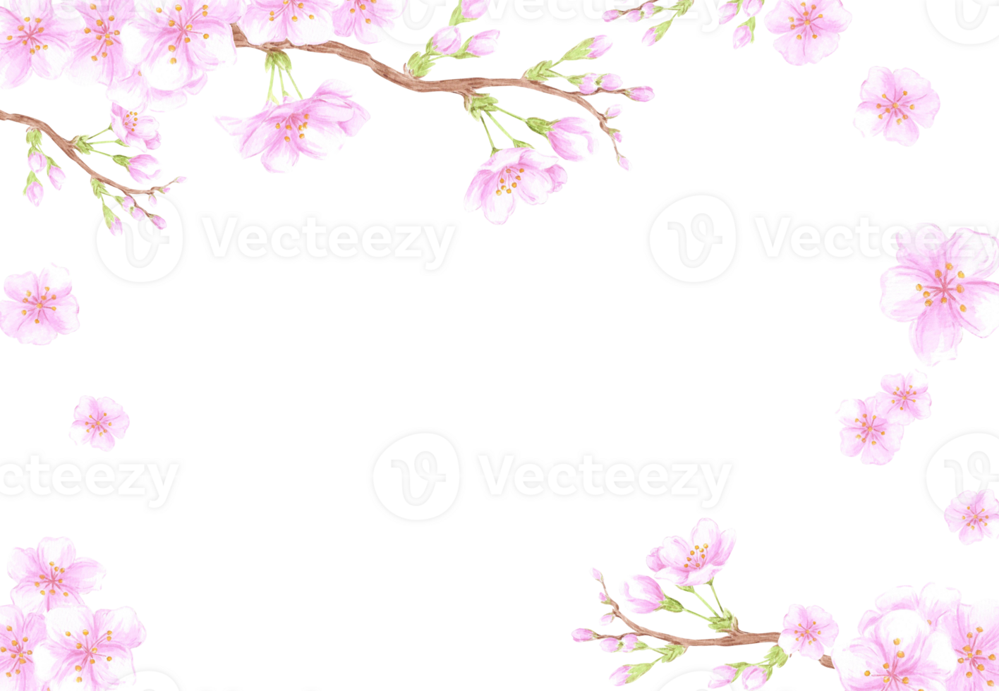 Hand drawn watercolor cherry blossom branch frame border. Illustration of flowers Can be used for business card, scrapbook and other printed products png