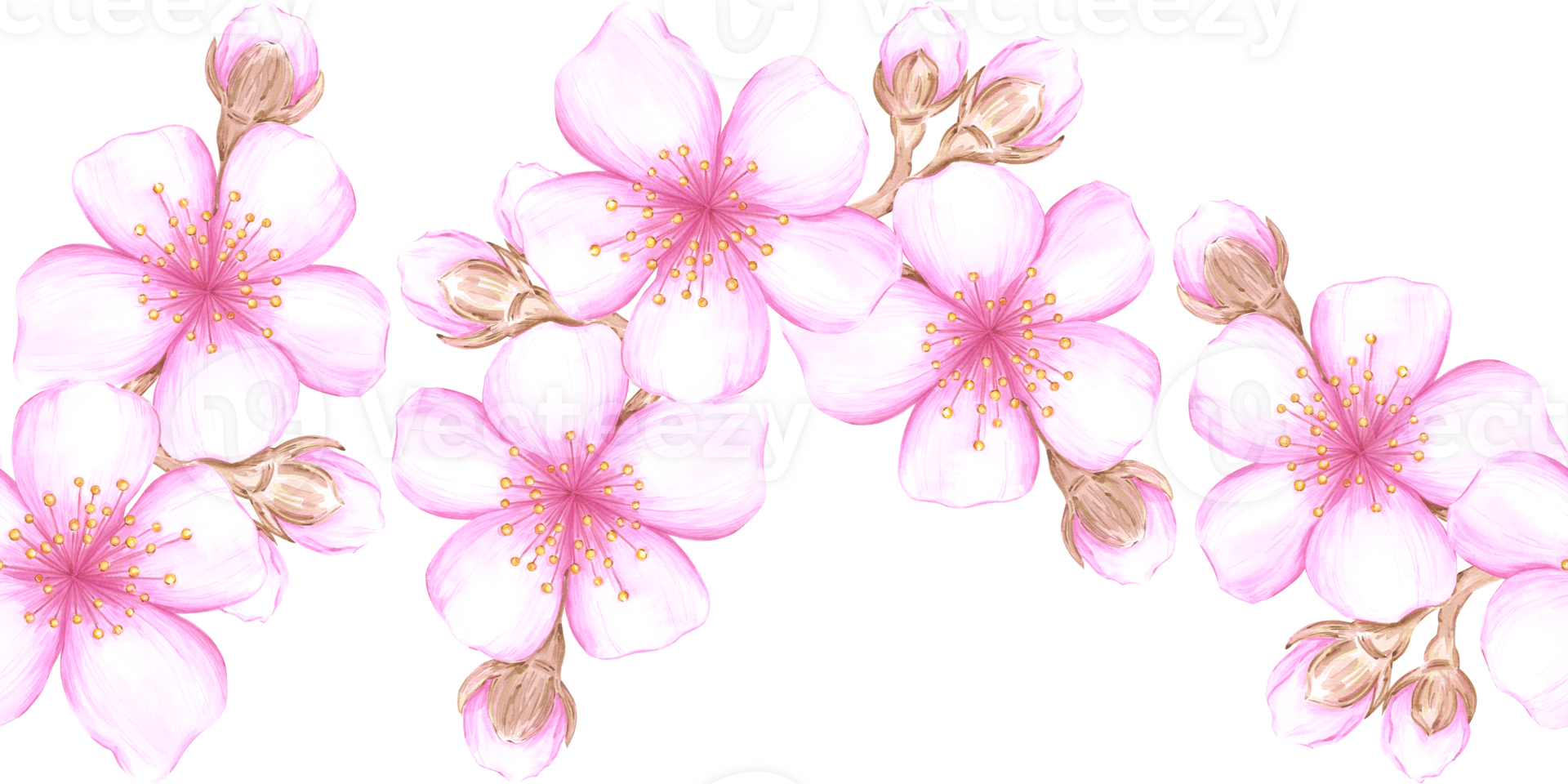 Hand drawn watercolor cherry sacura blossom seamless border. Illustration of spring flowers isolated on no background. Can be used for textile, fabric, wrapping and other printed products. png