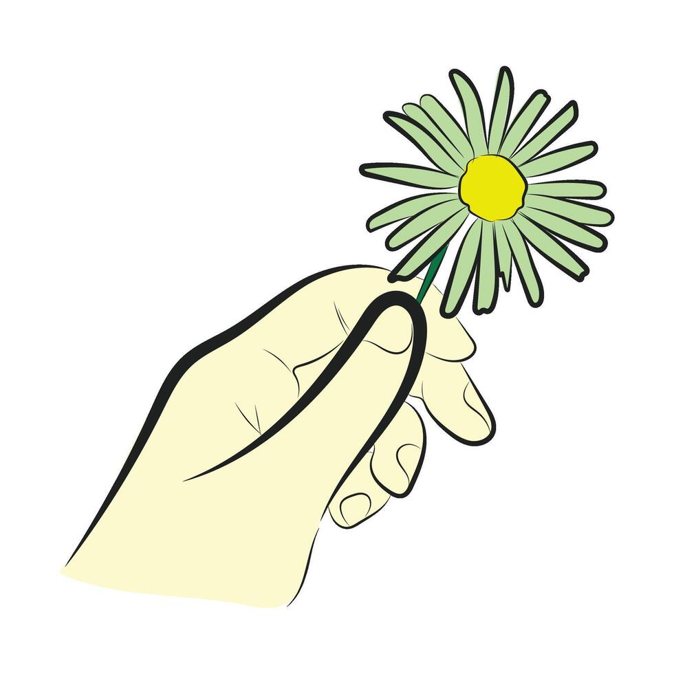 Minimalist Hand Holding Green Daisy Illustration vector