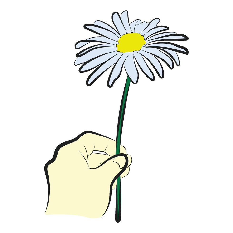 Single Daisy Flower in Hand. Minimalist Illustration vector