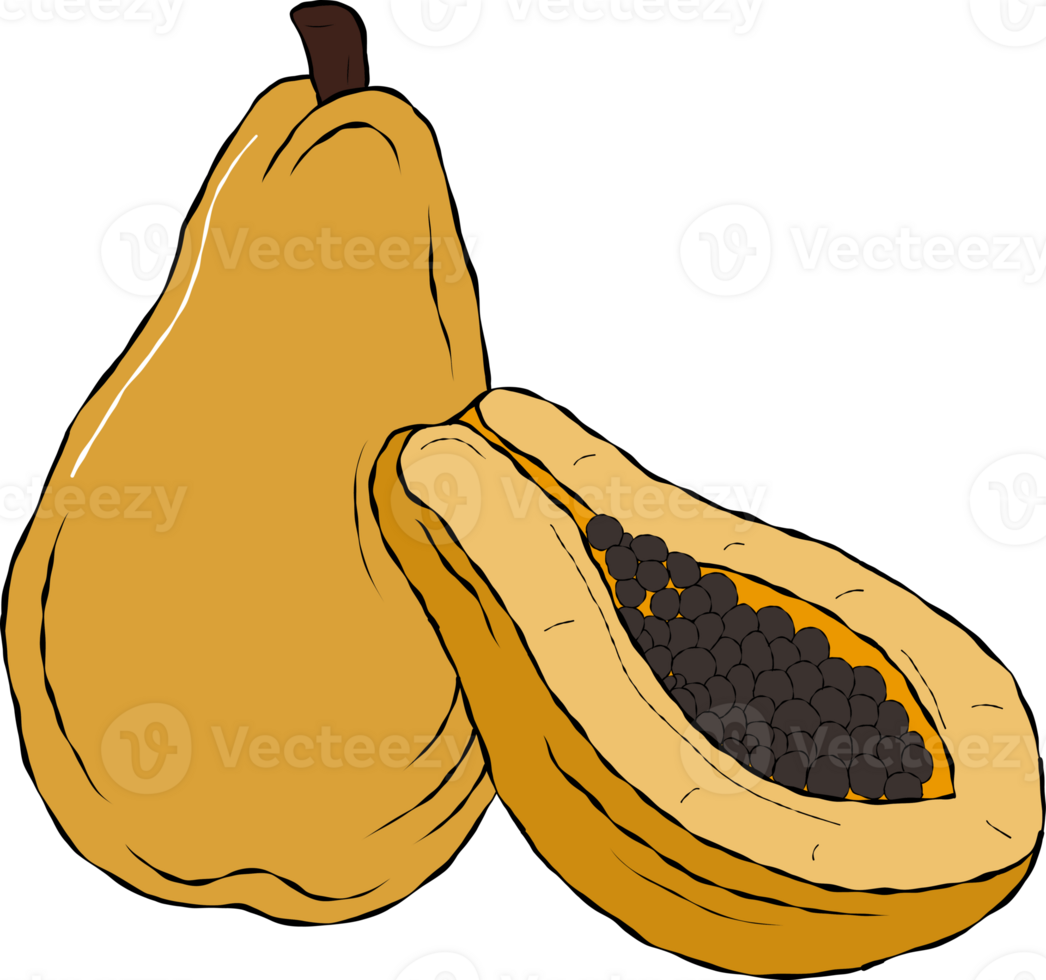 Ripe papaya fruit cartoon drawing. png