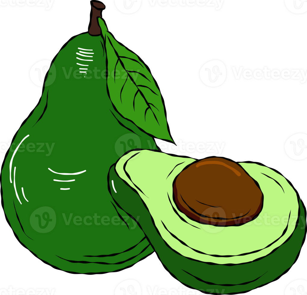 Avocado fruit. avocado cut in half png