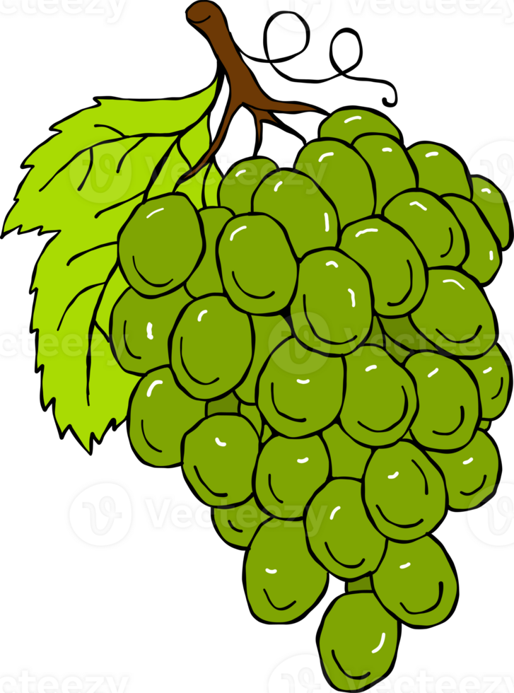 Fresh green grape png
