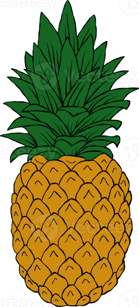 pineapple cartoon style drawing png