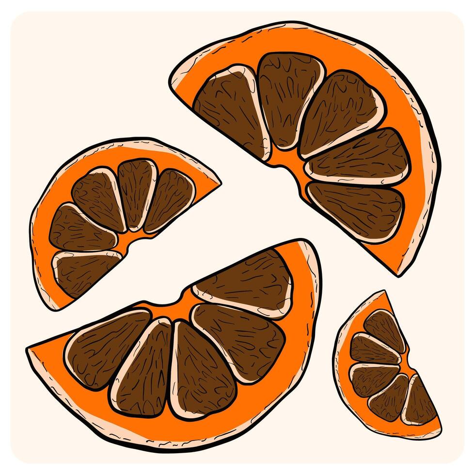 Hand-Drawn Dried Orange Slice Cartoon with background cream vector