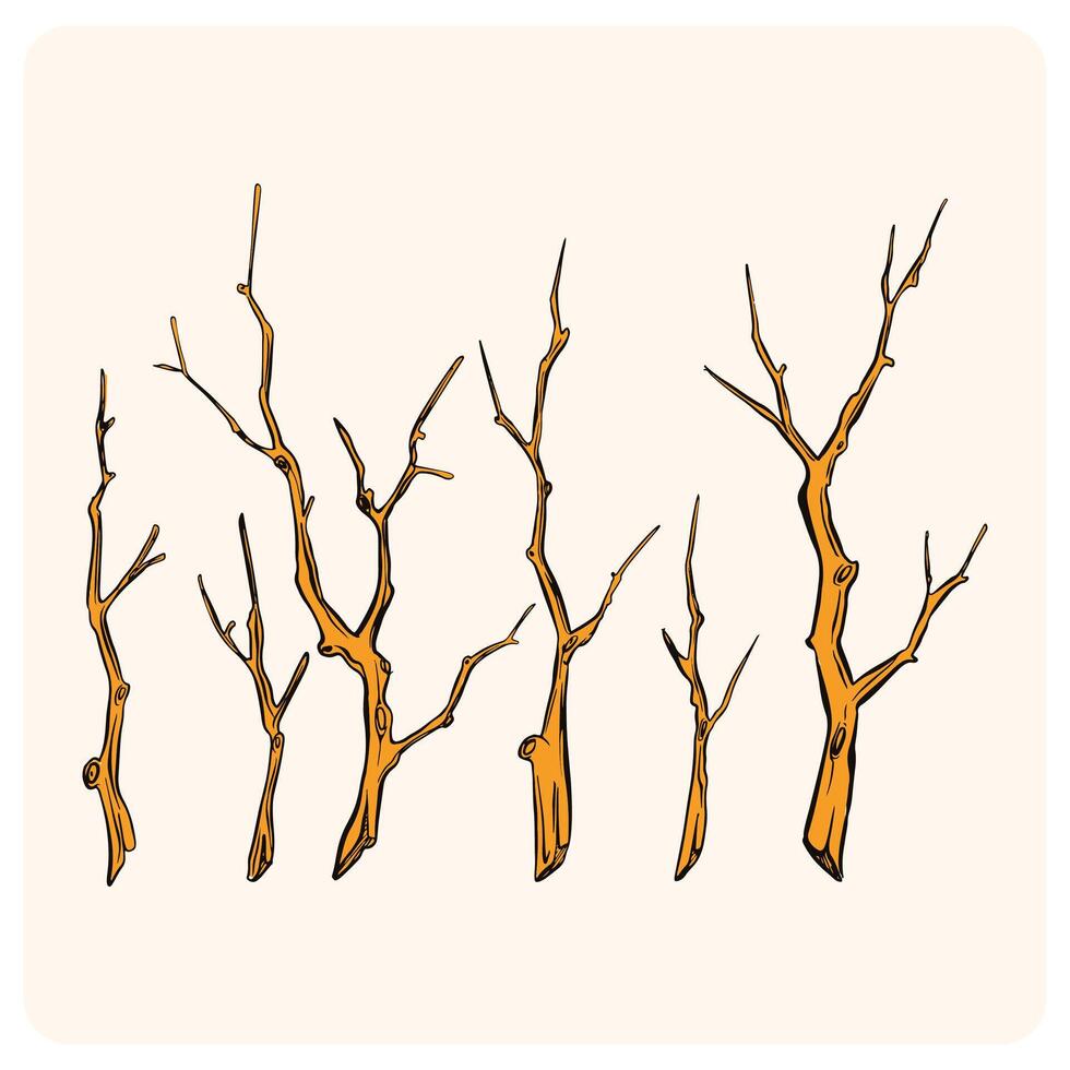 Hand-Drawn Dry Tree Branches Doodle Set with background cream vector