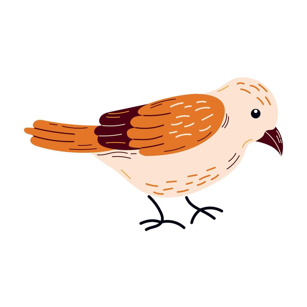 Spring birds single element. vector