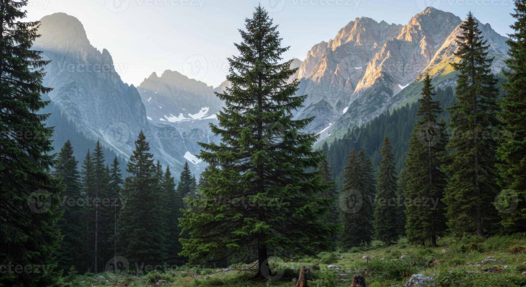 Majestic Mountain Range with Lush Pine Forest at Sunrise photo
