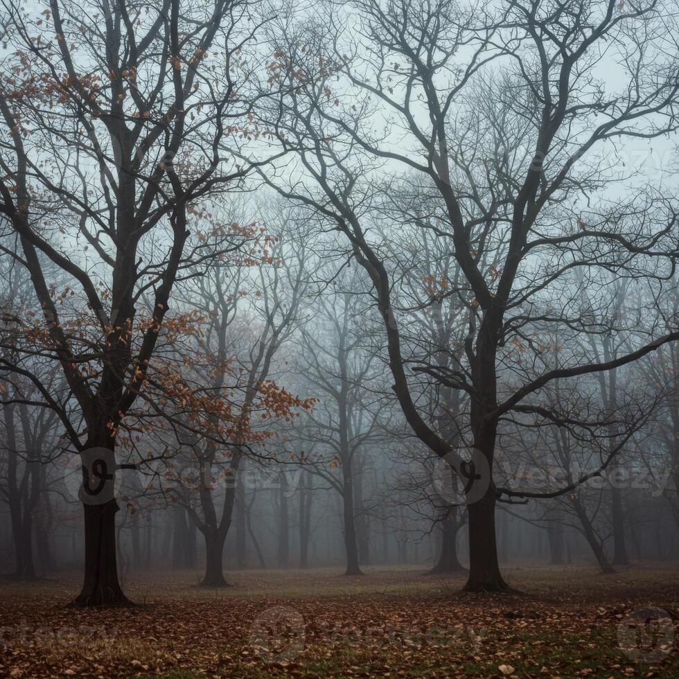 Misty Winter Forest Scene with Bare Trees and Fallen Leaves photo