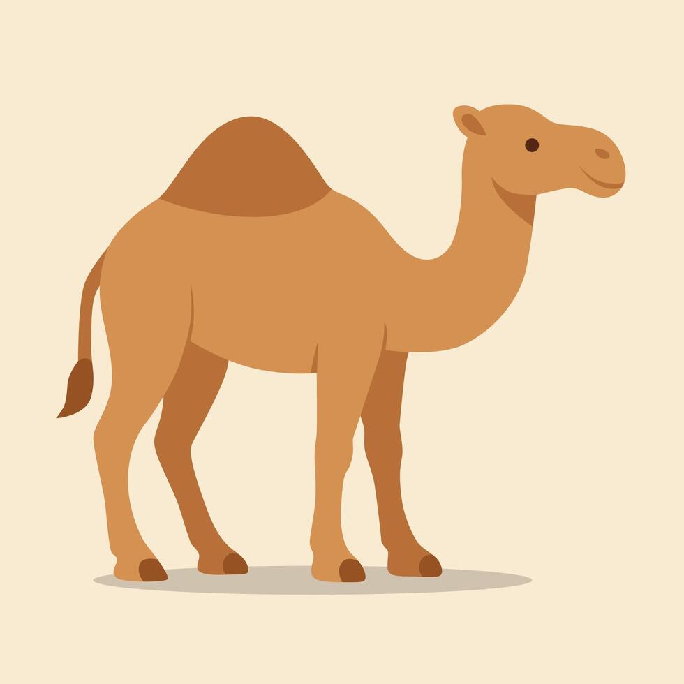 Cute Cartoon Camel Illustration Flat Desert Animal Design vector