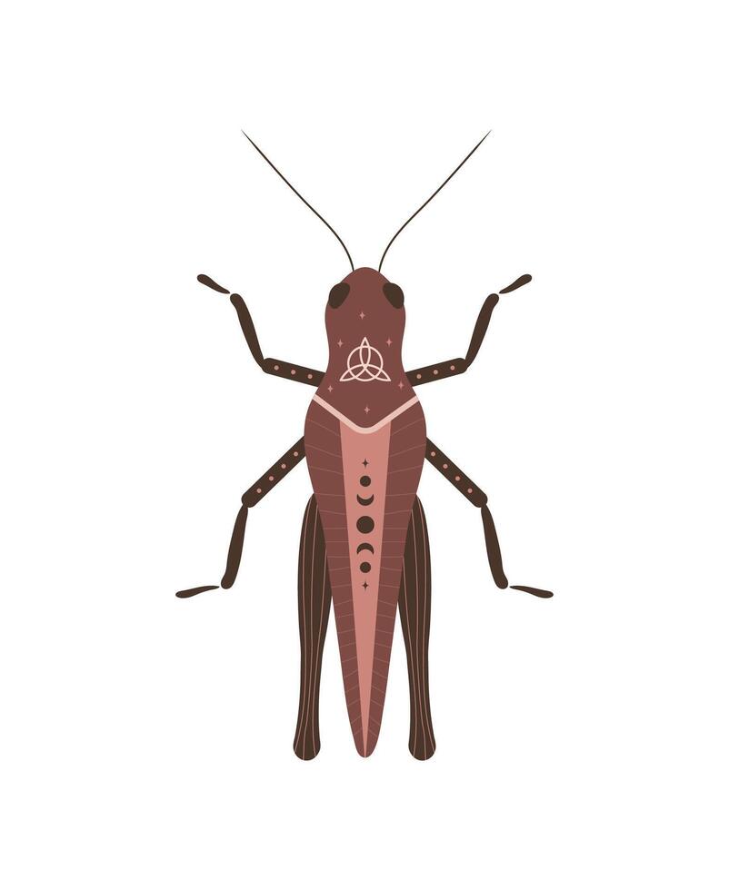 Boho grasshopper. Insect with celestial elements. Witch and magic symbol. Abstract hand drawn illustration in bohemian style vector