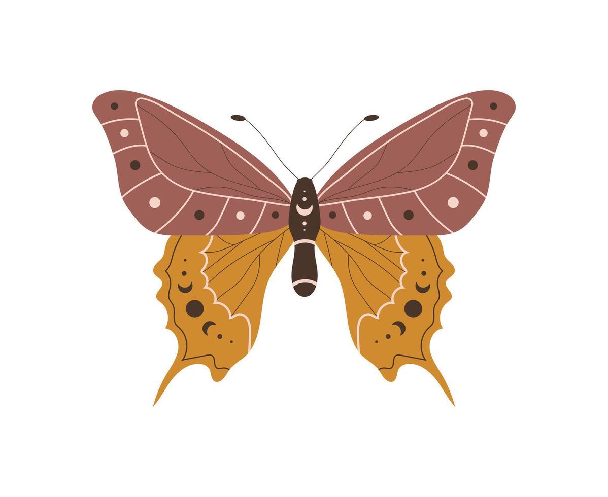 Boho butterfly. Insect with celestial elements. Witch and magic symbol. illustration in bohemian style vector