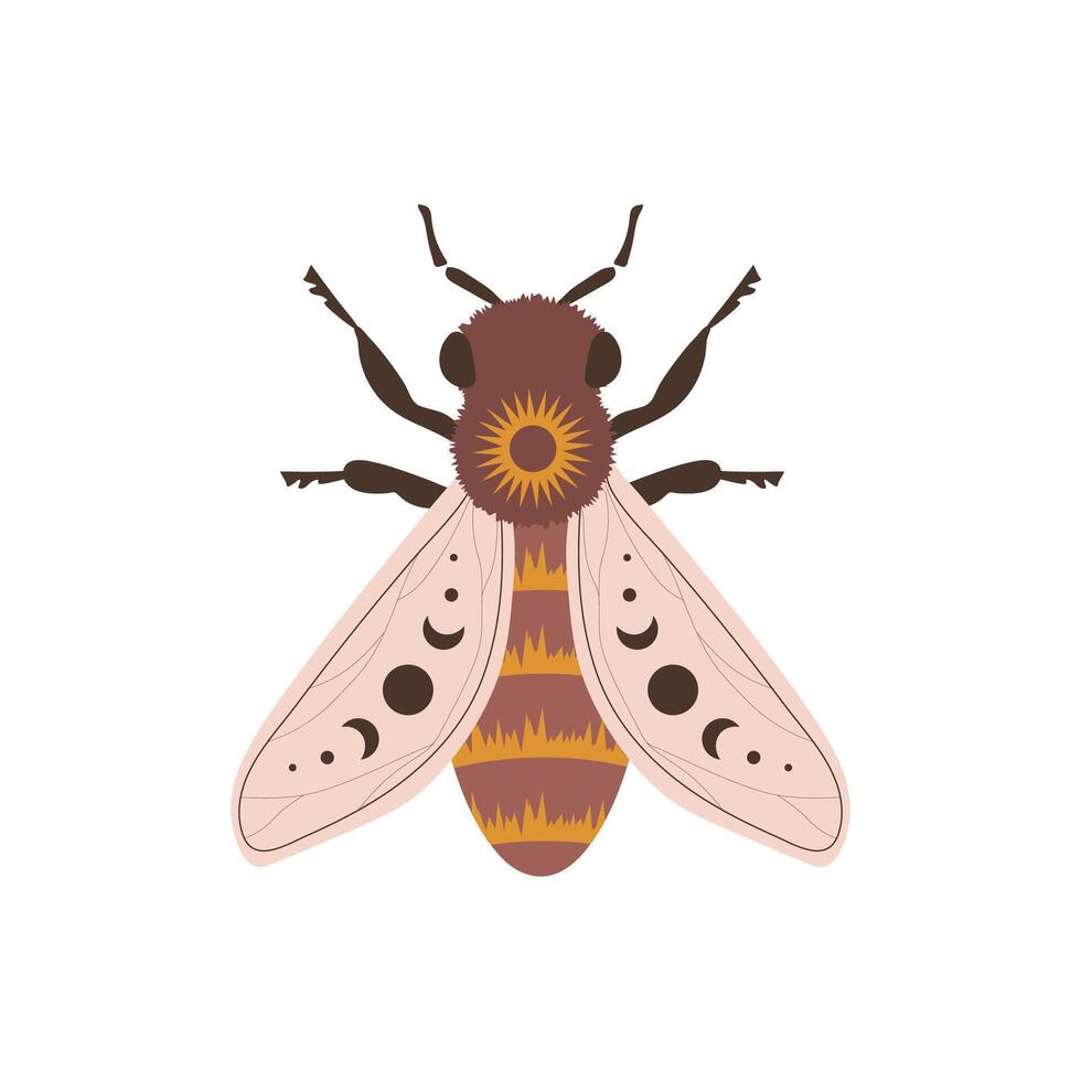 Boho honeybee. Insect with celestial elements. Witch and magic symbol. Abstract hand drawn illustration in bohemian style vector